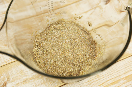Thermomix Sauerteig 1. Tag