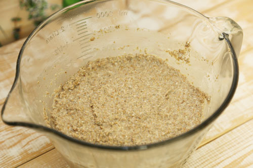 Thermomix Sauerteig 4. Tag