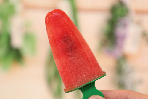 Thermomix Wassermeloneneis