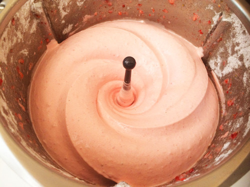 Thermomix Softeis