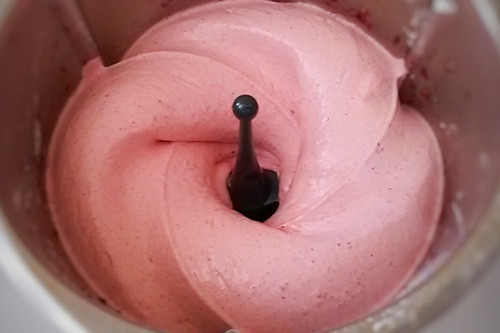 Thermomix Softeis