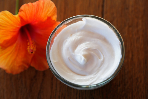 Thermomix Aloe-Hautcreme