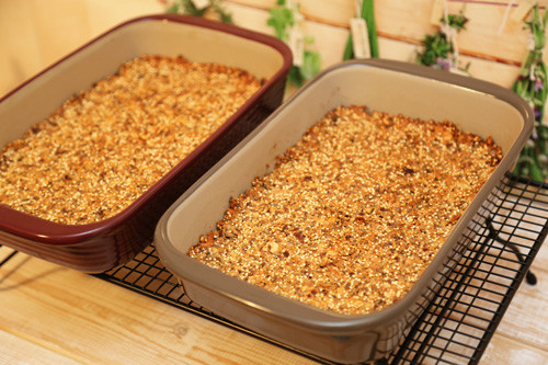 Thermomix Müsliriegel in Ofenhexe